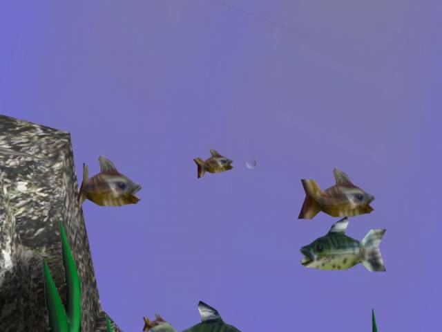 fishshot2.jpg