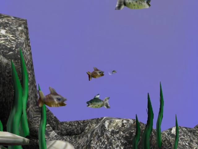 fishshot3.jpg