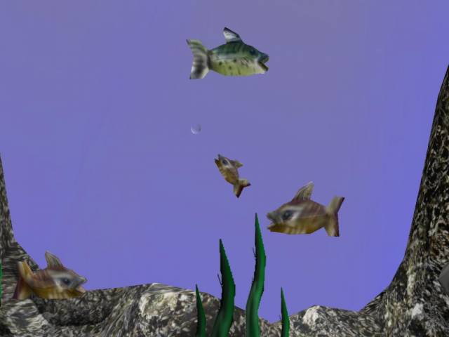 fishshot4.jpg